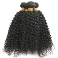 For Licensed Pros Only - BIANCA 4B Kinky Curly Sew In Bundles